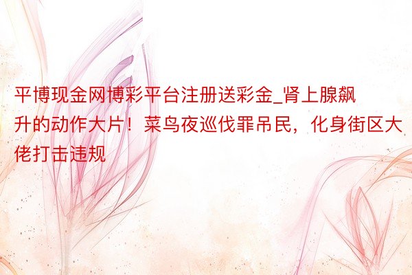 平博现金网博彩平台注册送彩金_肾上腺飙升的动作大片！菜鸟夜巡伐罪吊民，化身街区大佬打击违规