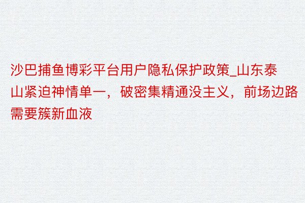 沙巴捕鱼博彩平台用户隐私保护政策_山东泰山紧迫神情单一，破密集精通没主义，前场边路需要簇新血液